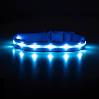 Blazin Blazin LED USB Rechargeable Nylon Dog Collar, Light Blue, Small
