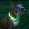 Show in main carousel: Blazin LED USB Rechargeable Nylon Dog Collar, Green, X-Small: 8.1 to 10.75-in neck, 5/8-in wide slide 2 of 11