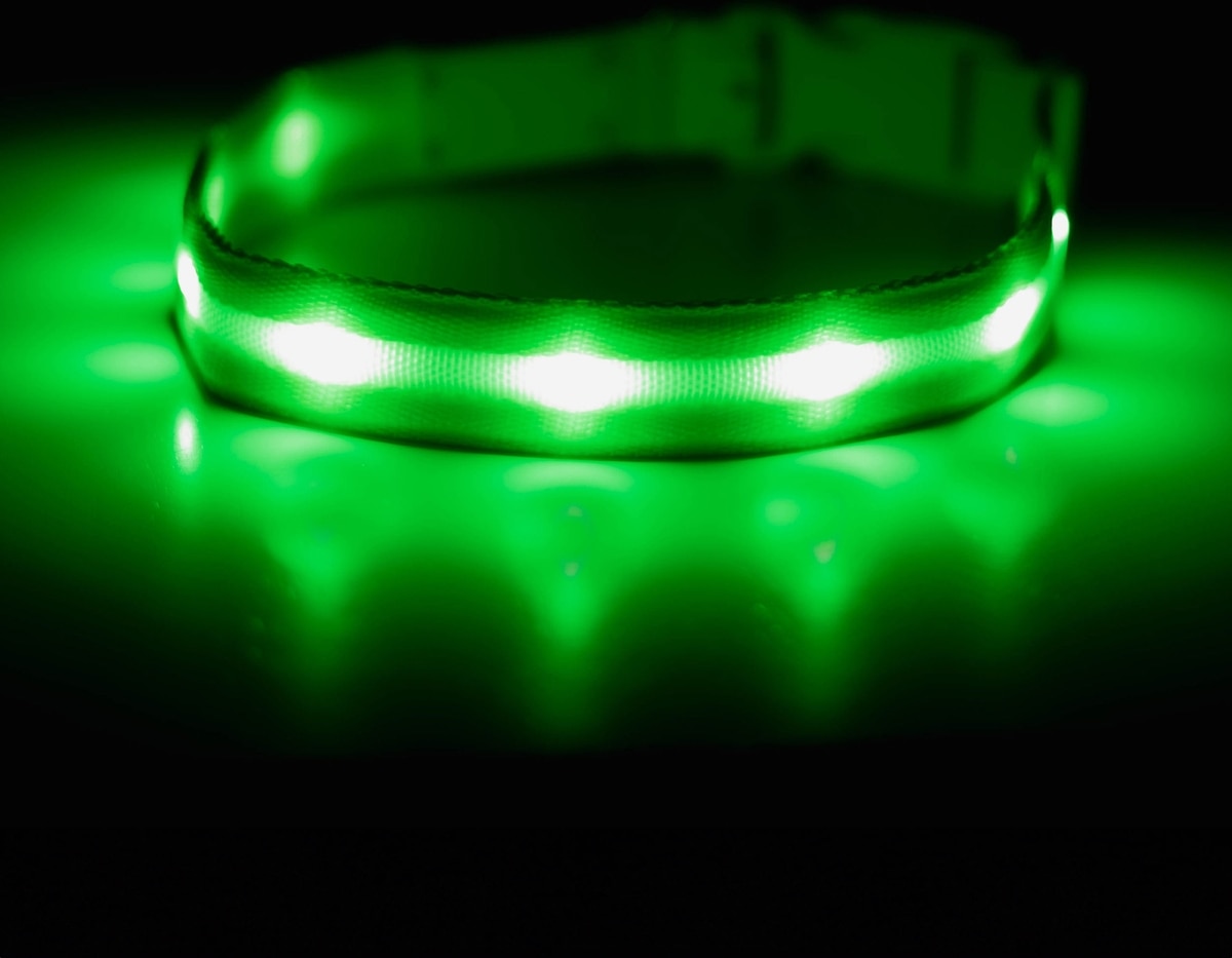 BLAZIN LED USB Rechargeable Nylon Dog Collar, Green, Medium: 13.8