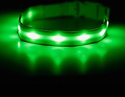 Blazin LED USB Rechargeable Nylon Dog Collar, Green, Large: 19.3 to 27.6-in neck, 1-in wide
