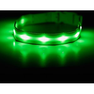 Blazin LED USB Rechargeable Nylon Dog Collar, Green, Large: 19.3 to 27.6-in neck, 1-in wide