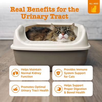 Show full view: Zesty Paws Urinary Mousse Chicken Flavored Lickable Kidney Supplement for Cats, 14 count slide 3 of 7