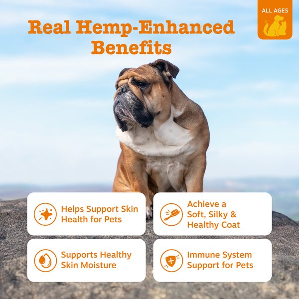 Zesty Paws Hemp Elements Omega + Salmon Oil + Hemp Liquid Skin & Coat Supplement for Dogs & Cats