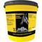 Show in main carousel: Finish Line Vitamin B1 Blend Muscle & Nerve Care Powder Horse Supplement, 20-lb tub slide 1 of 2