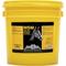 Show in main carousel: Finish Line MSM Joint Support Powder Horse Supplement, 30-lb tub slide 1 of 3