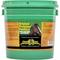Show in main carousel: Finish Line Original Premium Sore Muscle & Joint Pain Relief Horse Poultice, 12.9-lb tub slide 1 of 2
