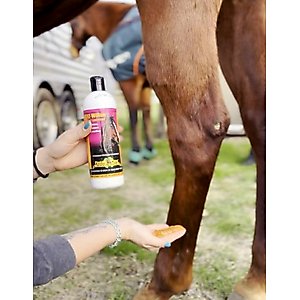 Finish Line EZ-Willow Sore Muscle & Joint Pain Relief Horse Liniment Gel, 16-fl oz bottle