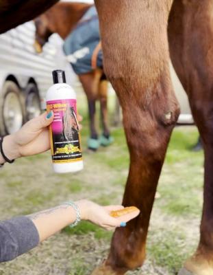 Show full view: Finish Line EZ-Willow Sore Muscle & Joint Pain Relief Horse Liniment Gel, 16-fl oz bottle slide 3 of 4