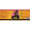 Show in main carousel: Finish Line Easy Rider Horse Supplement, 128-fl oz bottle slide 2 of 4