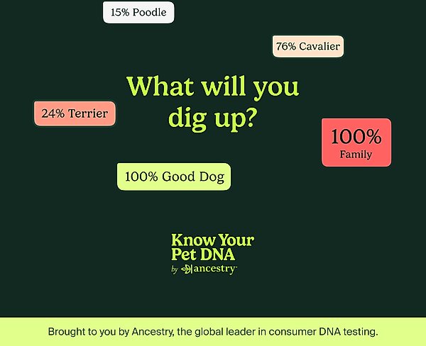 Show full view: Ancestry Breed Identification & Genetic Health Screening DNA Test Kit for Dogs slide 9 of 10