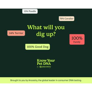 Ancestry Breed Identification & Genetic Health Screening DNA Test Kit for Dogs