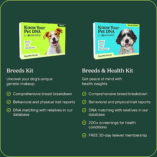 Show full view: Ancestry Breed Identification & Genetic Health Screening DNA Test Kit for Dogs slide 7 of 10