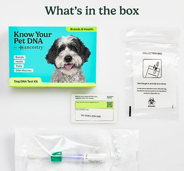 Show full view: Ancestry Breed Identification & Genetic Health Screening DNA Test Kit for Dogs slide 6 of 10