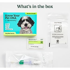 Ancestry Breed Identification & Genetic Health Screening DNA Test Kit for Dogs