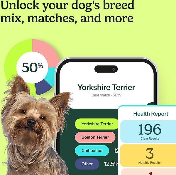 Show full view: Ancestry Breed Identification & Genetic Health Screening DNA Test Kit for Dogs slide 5 of 10