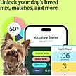 Show in main carousel: Ancestry Breed Identification & Genetic Health Screening DNA Test Kit for Dogs slide 5 of 10