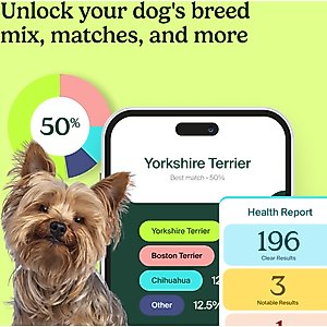 Ancestry Breed Identification & Genetic Health Screening DNA Test Kit for Dogs
