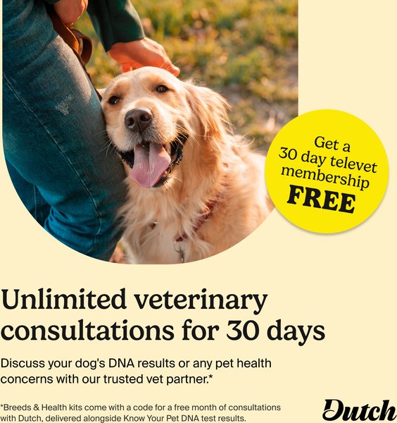 Show full view: Ancestry Breed Identification & Genetic Health Screening DNA Test Kit for Dogs slide 3 of 10