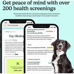 Ancestry Breed Identification & Genetic Health Screening DNA Test Kit for Dogs
