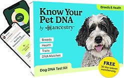Ancestry Breed Identification & Genetic Health Screening DNA Test Kit for Dogs