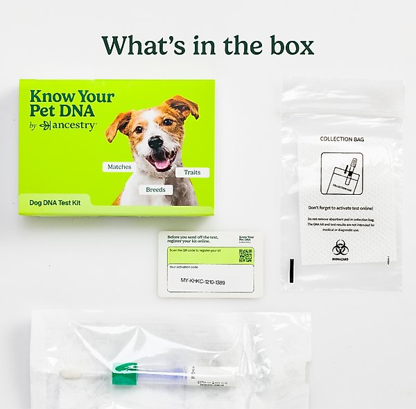 Show full view: Ancestry Breed Identification Dog DNA Test Kit slide 6 of 11