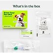 Show in main carousel: Ancestry Breed Identification Dog DNA Test Kit slide 6 of 11