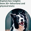 Show in main carousel: Ancestry Breed Identification Dog DNA Test Kit slide 4 of 11