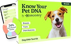 Ancestry Breed Identification Dog DNA Test Kit