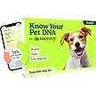 Show in main carousel: Ancestry Breed Identification Dog DNA Test Kit slide 1 of 11