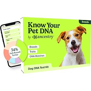 Wisdom Panel Premium Breed Identification & Health Condition Identification DNA Test for Dogs