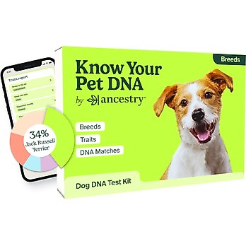 Dna Coupon Embark Vet Discount Code Discount Embark Dna Coupon