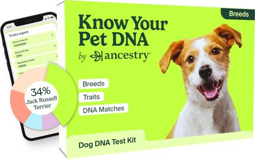 ANCESTRY Breed Identification Dog DNA Test Kit - Main Image