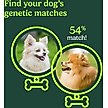 Show in main carousel: Ancestry Breed Identification Dog DNA Test Kit slide 5 of 11