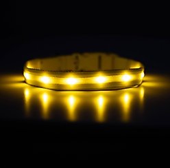 Blazin LED USB Rechargeable Nylon Dog Collar, Yellow, Medium
