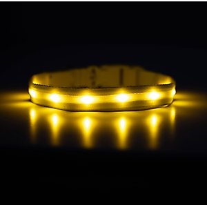 Blazin LED USB Rechargeable Nylon Dog Collar, Yellow, Small