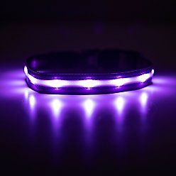 Blazin LED USB Rechargeable Nylon Dog Collar, Purple, Medium