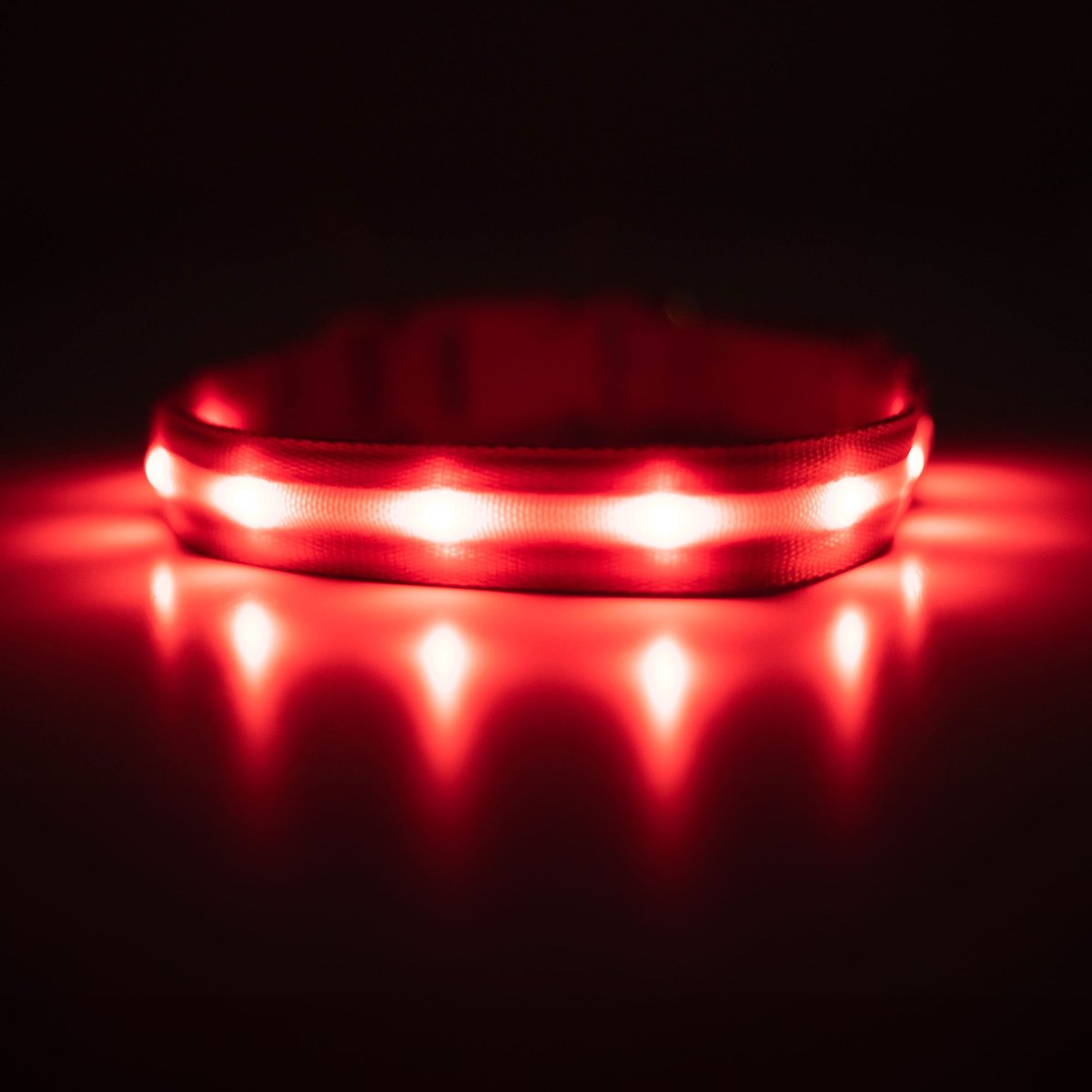 Blazin LED USB Rechargeable Nylon Dog Collar, Red, Large