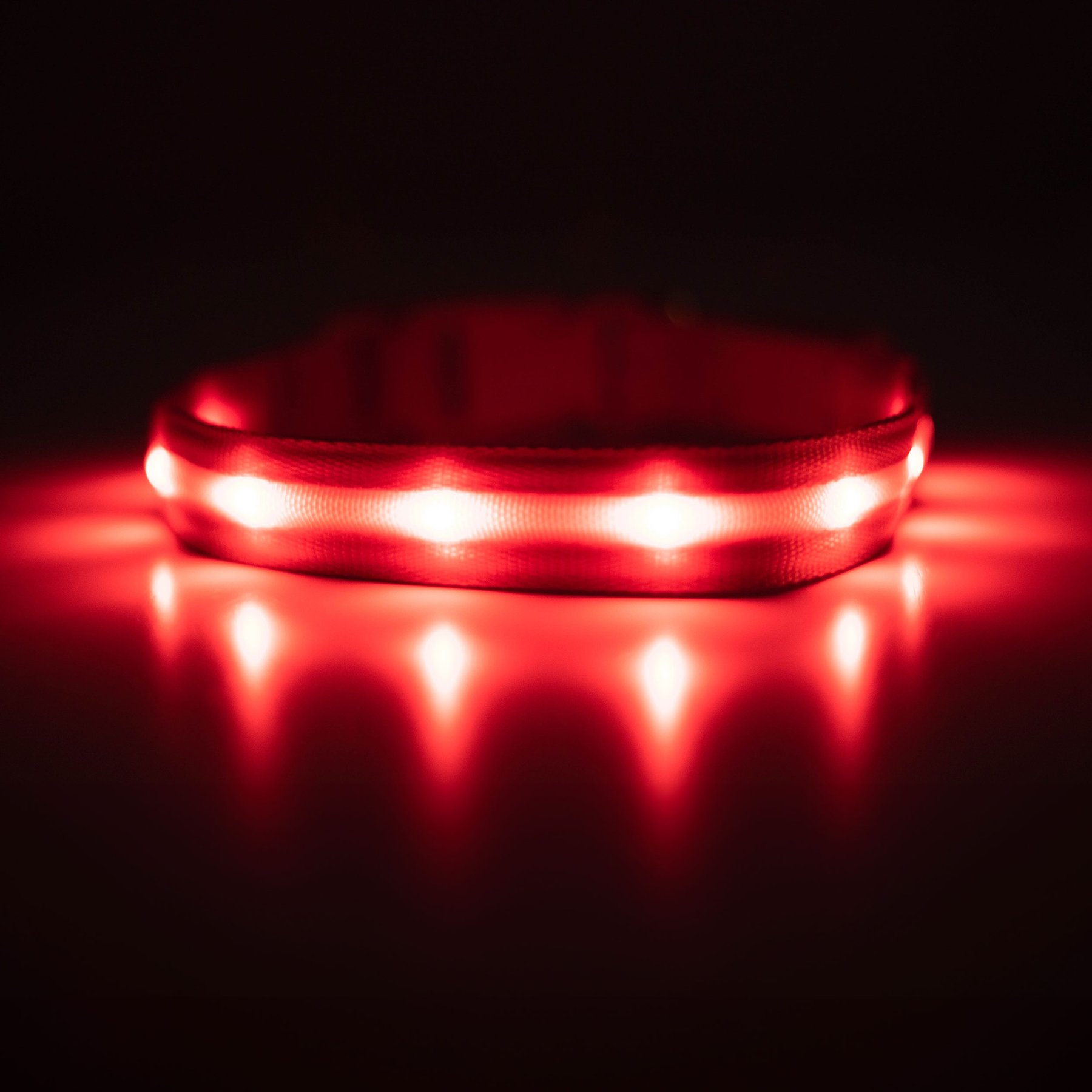 Blazin LED USB Rechargeable Nylon Dog Collar, Red, Small