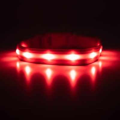 Blazin Blazin LED USB Rechargeable Nylon Dog Collar, Red, Large