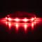 Show in main carousel: Blazin LED USB Rechargeable Nylon Dog Collar, Red, Medium slide 1 of 11