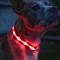 Show in main carousel: Blazin LED USB Rechargeable Nylon Dog Collar, Red, Medium slide 2 of 11
