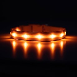Blazin LED USB Rechargeable Nylon Dog Collar, Orange, Large