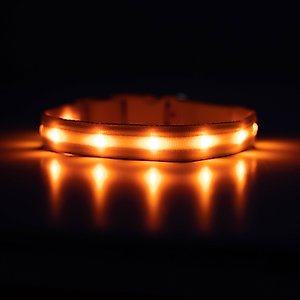 Blazin LED USB Rechargeable Nylon Dog Collar, Orange, X-Small