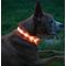 Show in main carousel: Blazin LED USB Rechargeable Nylon Dog Collar, Orange, X-Small slide 2 of 11