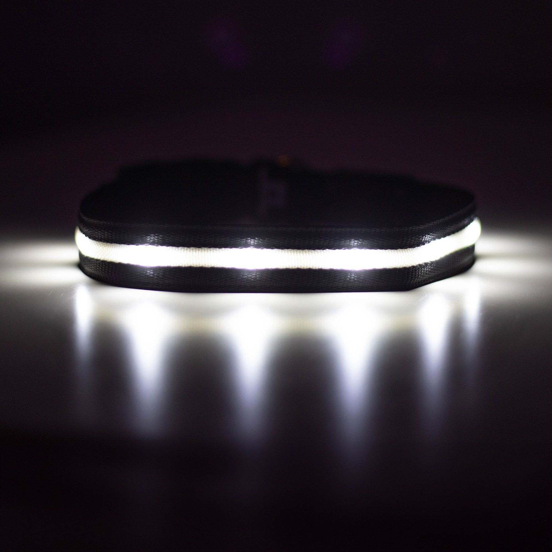 Blazin LED USB Rechargeable Nylon Dog Collar, Black, Large