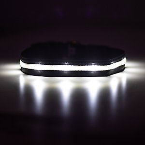 Blazin LED USB Rechargeable Nylon Dog Collar, Black, Large