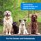 Show in main carousel: PetSafe Clik-R Dog Training Tool slide 5 of 8