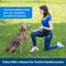 Show in main carousel: PetSafe Clik-R Dog Training Tool slide 3 of 8