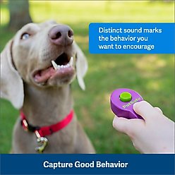 PetSafe Clik-R Dog Training Tool slide 2 of 6