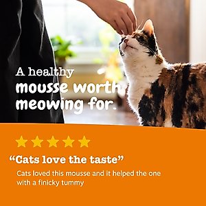 Zesty Paws Digestion Gut Health Chicken Mousse Lickable Squeeze Supplement for Cats, 18 count